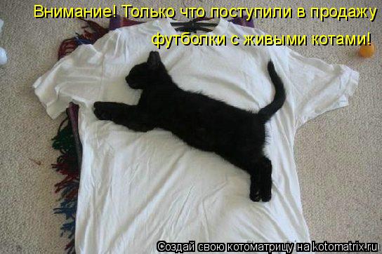 Котоматрица: Внимание! Только что поступили в продажу  футболки с живыми котами!