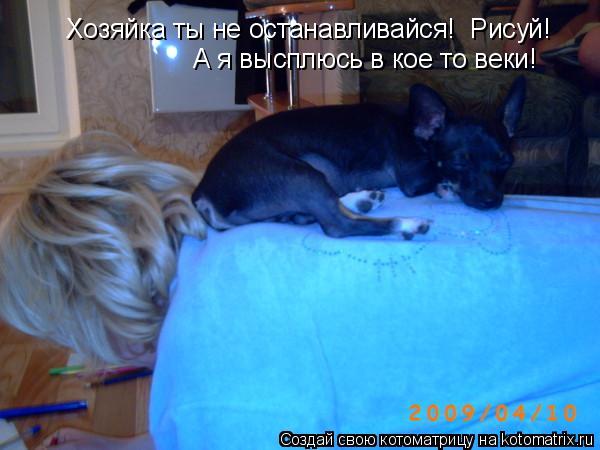 Котоматрица: Хозяйка ты не останавливайся!  Рисуй! А я высплюсь в кое то веки!