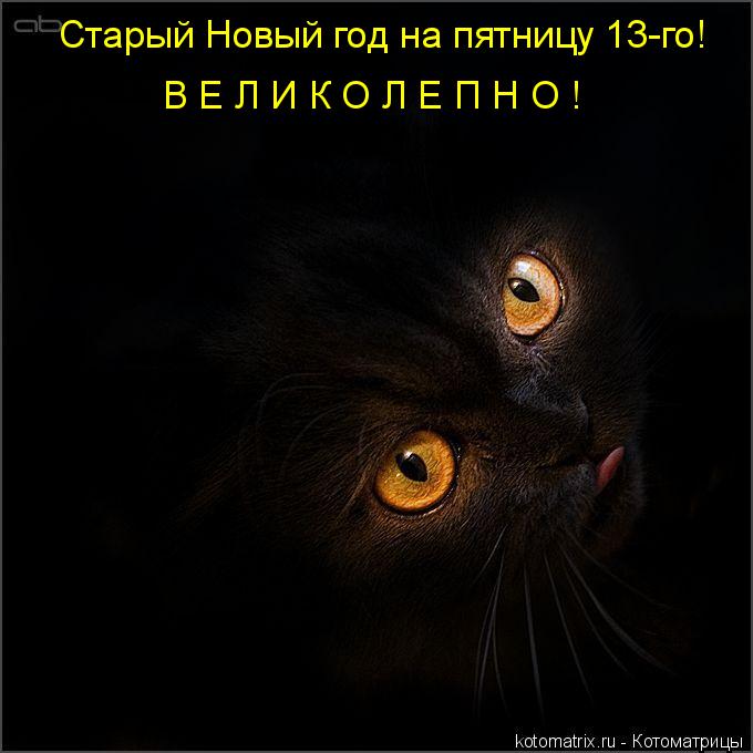 Котоматрица: Старый Новый год на пятницу 13-го! В Е Л И К О Л Е П Н О !
