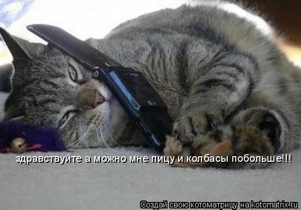 Котоматрица: здравствуйте а можно мне пицу и колбасы побольше!!!