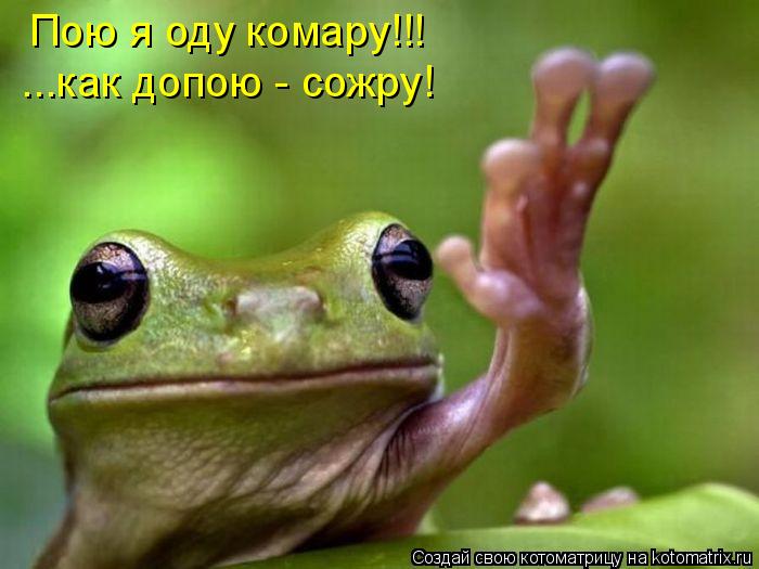 Котоматрица: Пою я оду комару!!! ...как допою - сожру!