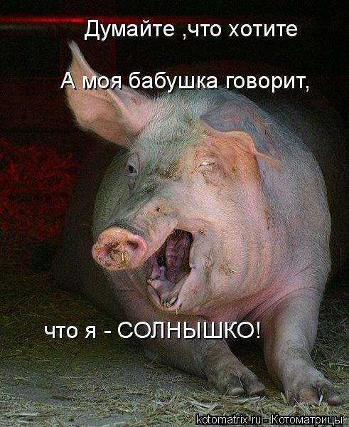 Котоматрица: Думайте ,что хотите А моя бабушка говорит,  что я - СОЛНЫШКО!
