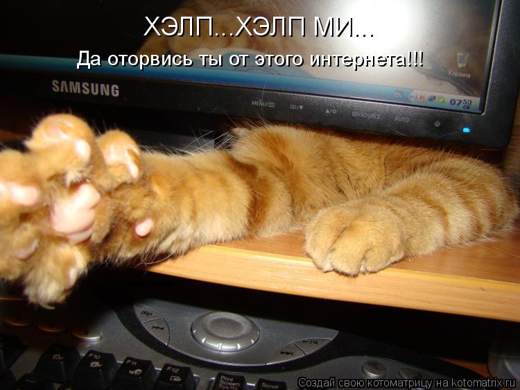 Котоматрица: ХЭЛП...ХЭЛП МИ... Да оторвись ты от этого интернета!!!