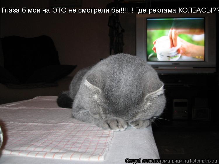 Котоматрица: Глаза б мои на ЭТО не смотрели бы!!!!!! Где реклама КОЛБАСЫ???