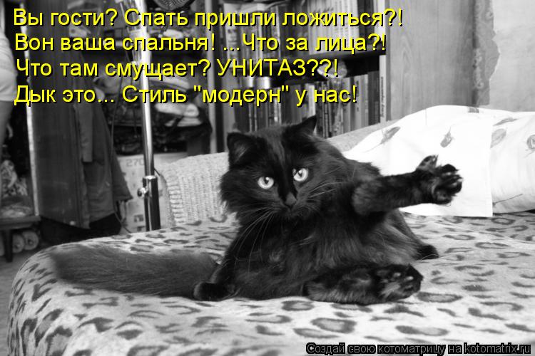 Вы гости? Спать пришли ложиться?! Вон ваша спальня! ...Что за лица?! Что там смущает? УНИТАЗ??! Дык э... Котоматрица: Вы гости? Спать пришли ложиться?! Вон ваша спальня! ...Что за лица?! Что там смущает? УНИТАЗ??! Дык это... Стиль "модерн" у нас!