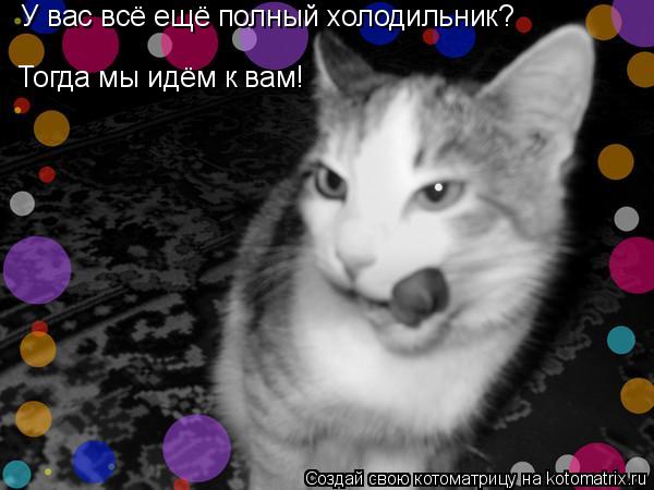 Котоматрица: У вас всё ещё полный холодильник? Тогда мы идём к вам!