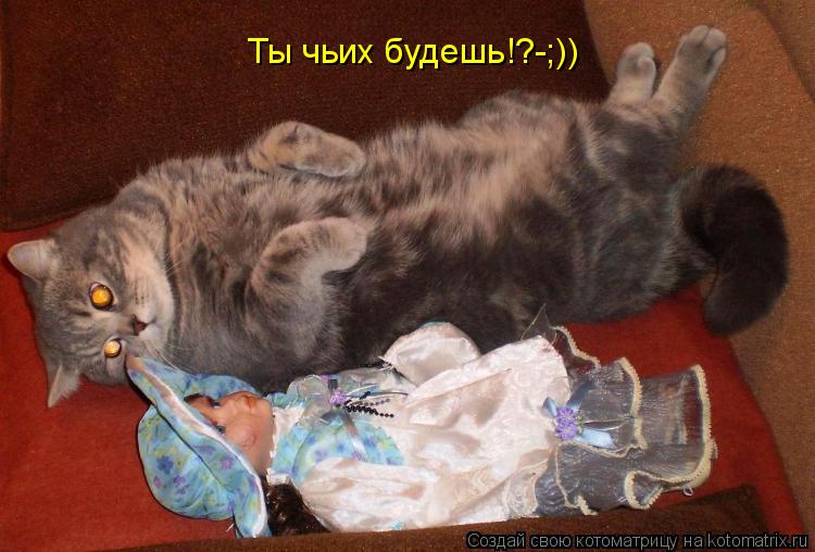 Котоматрица: Ты чьих будешь!?-;))