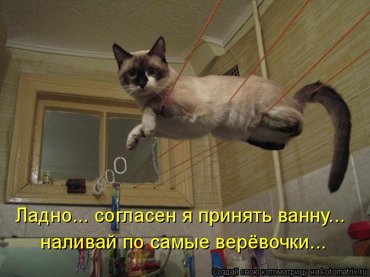 Ладно... согласен я принять ванну... наливай по самые верёвочки...... Котоматрица: Ладно... согласен я принять ванну... наливай по самые верёвочки...