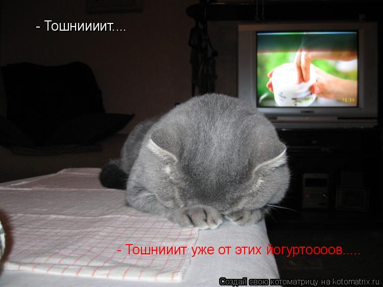 Котоматрица: - Тошниииит.... - Тошнииит уже от этих йогуртоооов.....