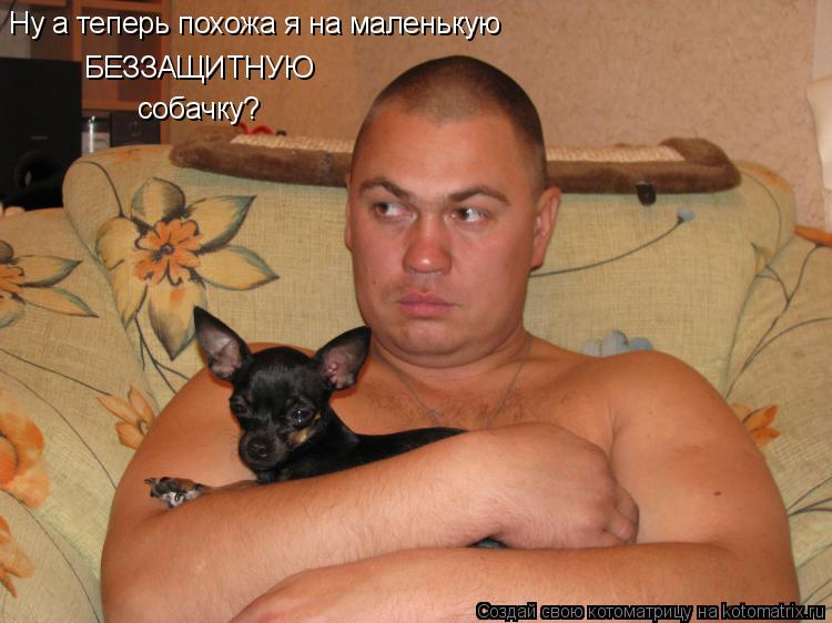 Котоматрица: БЕЗЗАЩИТНУЮ  собачку? Ну а теперь похожа я на маленькую