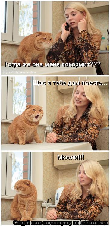 Когда же она меня покормит??? Щас я тебе дам поесть... Мюсли!!!... Котоматрица: Когда же она меня покормит??? Щас я тебе дам поесть... Мюсли!!!