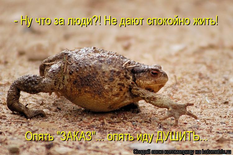 Котоматрица: - Ну что за люди?! Не дают спокойно жить! Опять "ЗАКАЗ"... опять иду ДУШИТЬ...