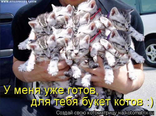 Котоматрица: У меня уже готов,  для тебя букет котов :)