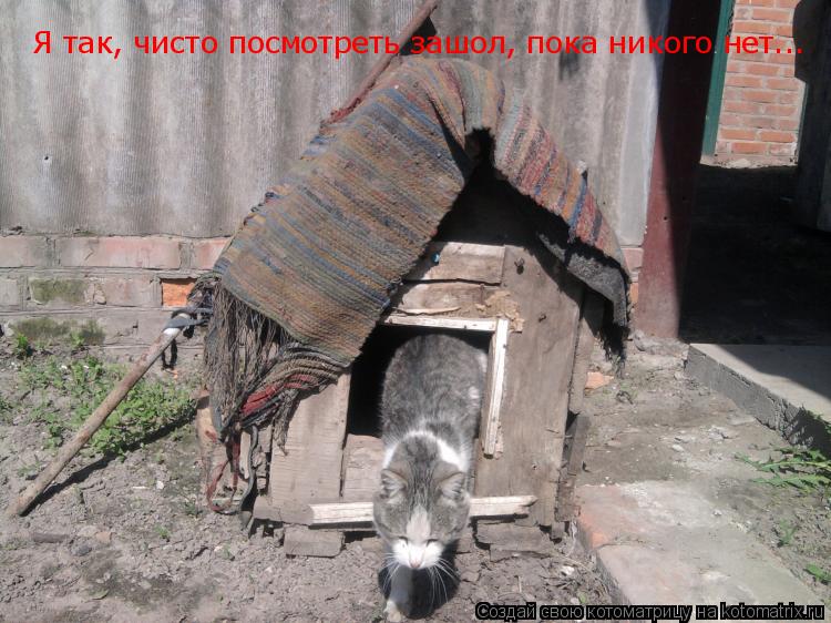 Котоматрица: Я так, чисто посмотреть зашол, пока никого нет...