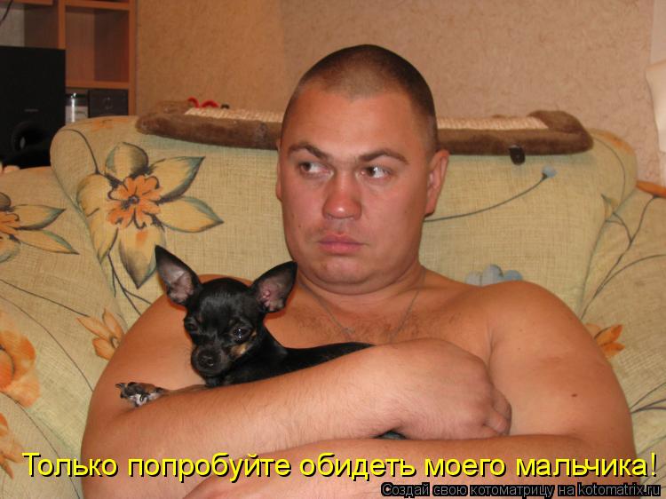 Котоматрица: Только попробуйте обидеть моего мальчика!