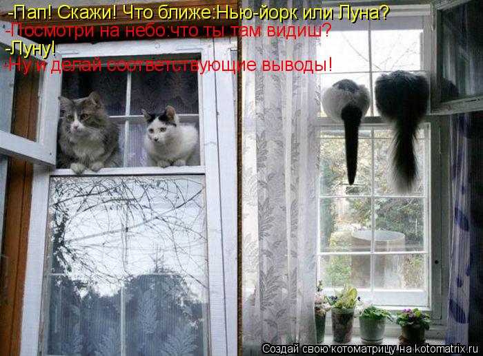 Котоматрица: -Пап! Скажи! Что ближе:Нью-йорк или Луна? -Посмотри на небо:что ты там видиш? -Луну! -Ну и делай соответствующие выводы!