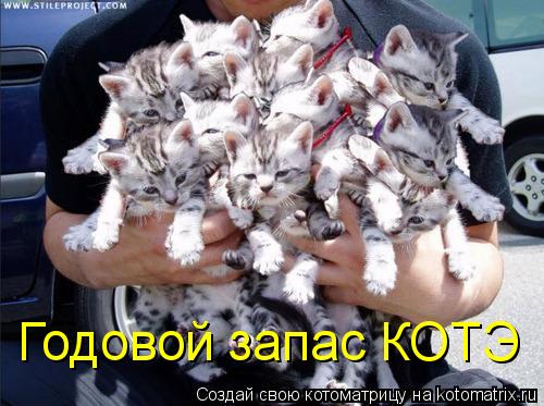 Котоматрица: Годовой запас КОТЭ