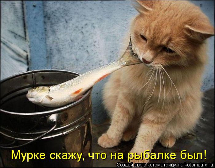 Котоматрица: Мурке скажу, что на рыбалке был!