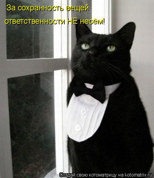 Котоматрица: За сохранность вещей  ответственности НЕ несём!