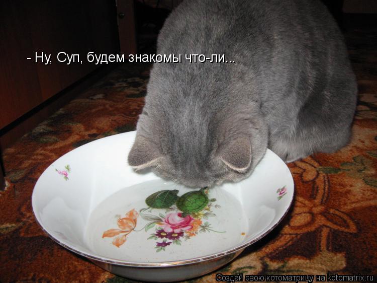 Котоматрица: - Ну, Суп, будем знакомы что-ли...