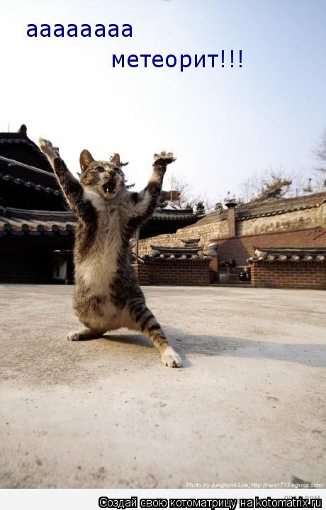 aaaaaaaa метеорит!!!... Котоматрица: aaaaaaaa метеорит!!!