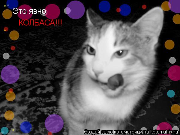 Это явно КОЛБАСА!!!... Котоматрица: Это явно КОЛБАСА!!!
