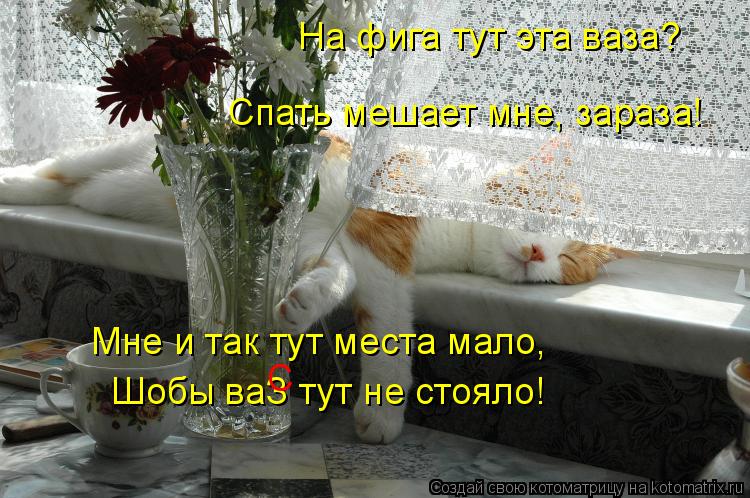 На фига тут эта ваза? Спать мешает мне, зараза! Мне и так тут места мало, Шобы ваЗ тут не стояло! С... Котоматрица: На фига тут эта ваза? Спать мешает мне, зараза! Мне и так тут места мало, Шобы ваЗ тут не стояло! С