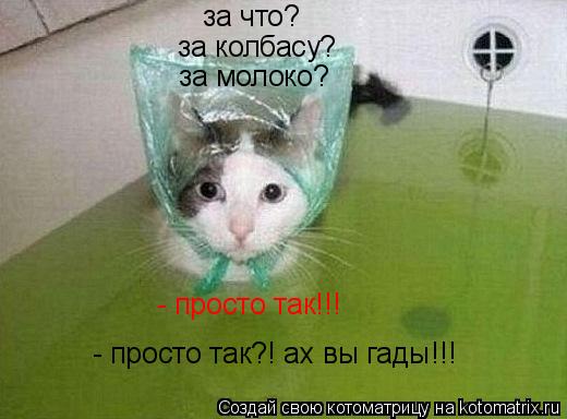 Котоматрица: за что? за колбасу? за молоко? - просто так!!! - просто так?! ах вы гады!!!