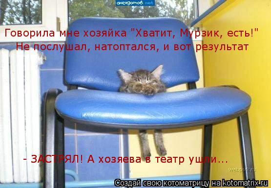 Котоматрица: Говорила мне хозяйка "Хватит, Мурзик, есть!"   Не послушал, натоптался, и вот результат  - ЗАСТРЯЛ! А хозяева в театр ушли...  - ЗАСТРЯЛ! А хозяева 