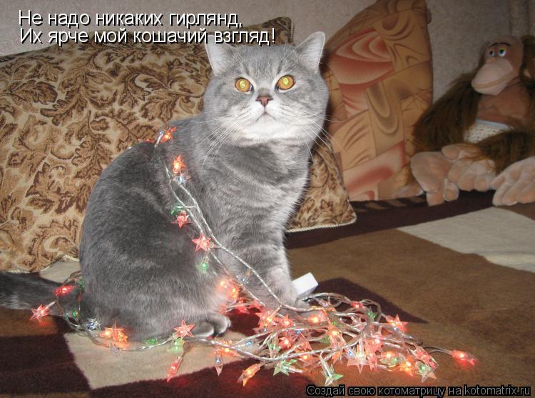 Котоматрица: Не надо никаких гирлянд, Их ярче мой кошачий взгляд!