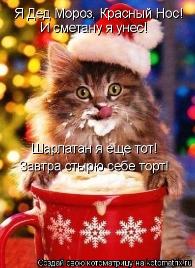 Котоматрица: Я Дед Мороз, Красный Нос! И сметану я унес! Шарлатан я еще тот! Завтра стырю себе торт!