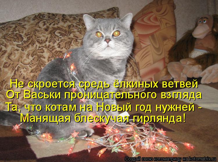 Котоматрица: Не скроется средь ёлкиных ветвей От Васьки проницательного взгляда Та, что котам на Новый год нужней -  Манящая блескучая гирлянда!