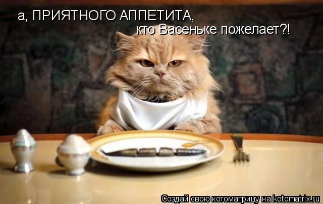 Котоматрица: а, ПРИЯТНОГО АППЕТИТА,  кто Васеньке пожелает?!