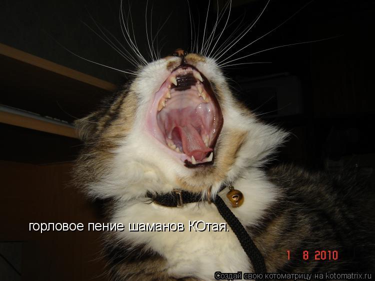 Котоматрица: горловое пение шаманов КОтая.