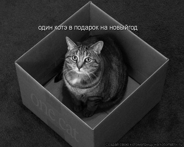 Котоматрица: один котэ в подарок на новыйгод