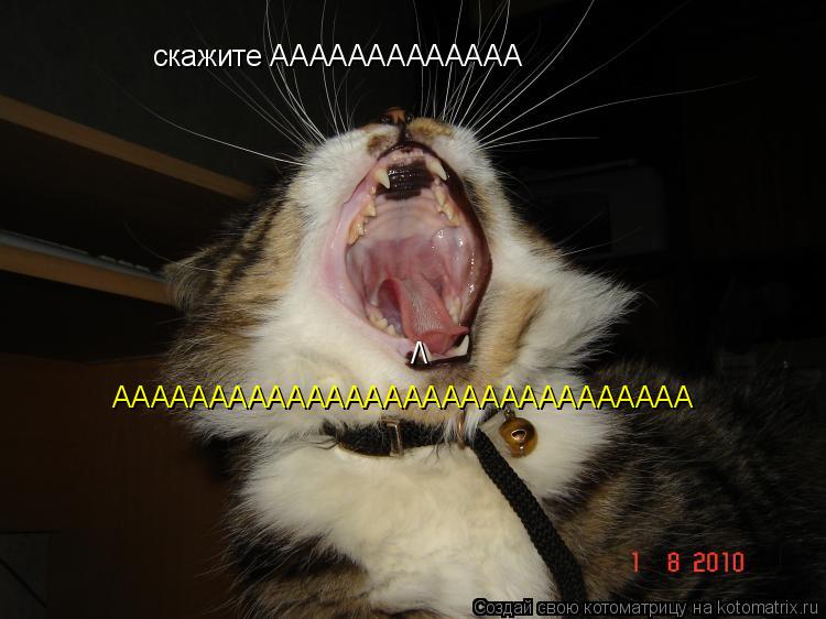 Котоматрица: скажите ААААААААААААА скажите АААААААААААА /\ АААААААААААААААААААААААААААААА