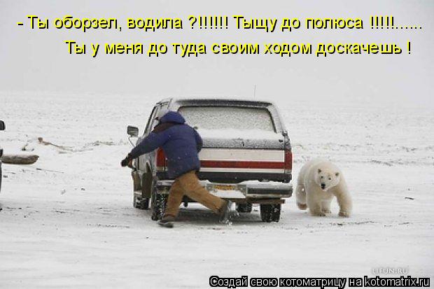 Котоматрица: - Ты оборзел, водила ?!!!!!! Тыщу до полюса !!!!!...... Ты у меня до туда своим ходом доскачешь !