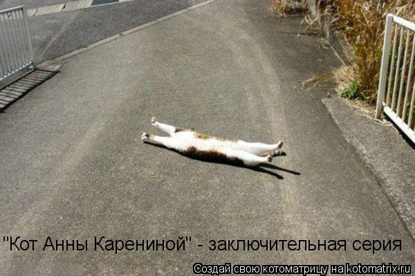 "Кот Анны Карениной" - заключительная серия... Котоматрица: "Кот Анны Карениной" - заключительная серия