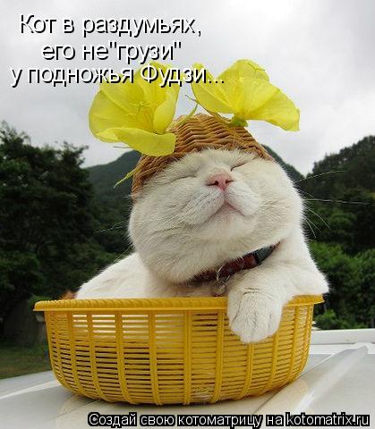 Котоматрица: Кот в раздумьях, его не"грузи" у подножья Фудзи...