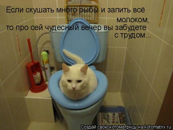 Если скушать много рыбы и запить всё молоком, то про сей чудесный вечер вы забудете с трудом...... Котоматрица: Если скушать много рыбы и запить всё молоком, то про сей чудесный вечер вы забудете с трудом...
