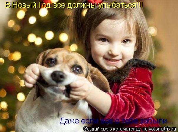 Котоматрица: В Новый Год все должны улыбаться!!! Даже если все о тебе забыли...