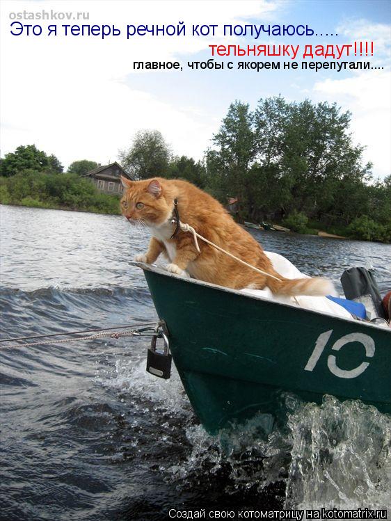 Котоматрица: Это я теперь речной кот получаюсь.....  тельняшку дадут!!!! главное, чтобы с якорем не перепутали....