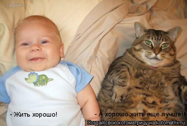 Котоматрица: - Жить хорошо! - А хорошо жить еще лучше!!