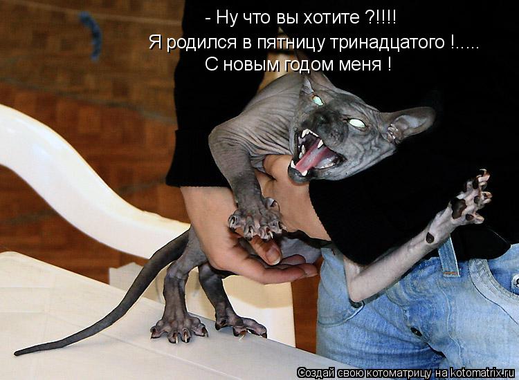 Котоматрица: - Ну что вы хотите ?!!!! Я родился в пятницу тринадцатого !..... С новым годом меня !