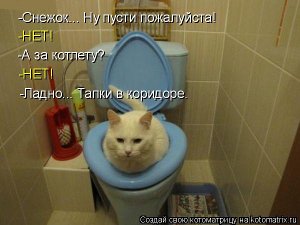 Котоматрица: -Снежок... Ну пусти пожалуйста!  -НЕТ! -А за котлету? -НЕТ! -Ладно... Тапки в коридоре.