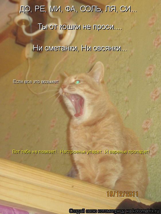 Котоматрица: ДО, РЕ, МИ, ФА, СОЛЬ, ЛЯ, СИ... Ты от кошки не проси.... Ни сметанки, Ни овсянки... Вот тебе не повезет!.. Настроенье упадет.. И варенье пропадет! Есл