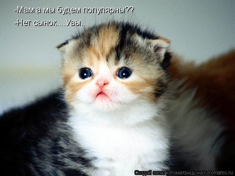 Котоматрица: -Мам а мы будем популярны?? -Нет сынок....Увы..