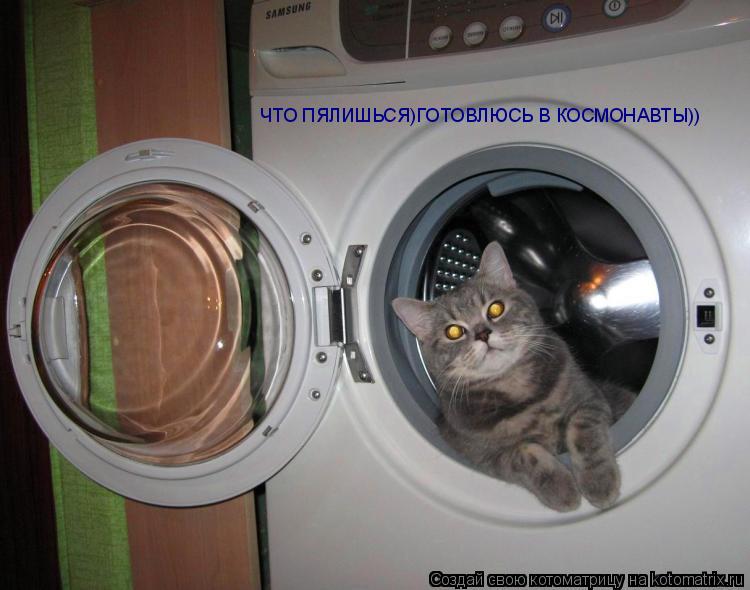 Котоматрица: ЧТО ПЯЛИШЬСЯ)ГОТОВЛЮСЬ В КОСМОНАВТЫ))