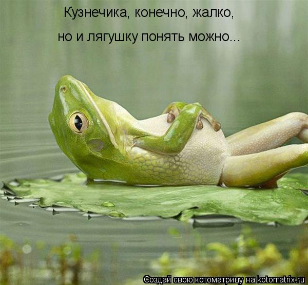Кузнечика, конечно, жалко, но и лягушку понять можно...... Котоматрица: Кузнечика, конечно, жалко, но и лягушку понять можно...