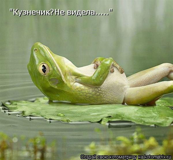 "Кузнечик?Не видела....."... Котоматрица: "Кузнечик?Не видела....."